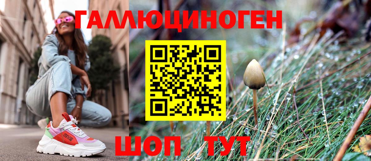 Псилоцибиновые грибы ЛСД Кашира