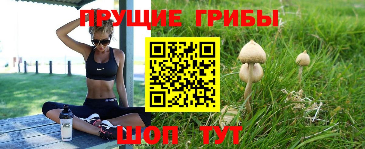 Галлюциногенные грибы Psilocybe  Вход с VPN  Псилоцибиновые грибы мухоморы  Кашира 